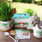 Animal Crossing Inspired Gardening Kit - Tiny Garden Pals